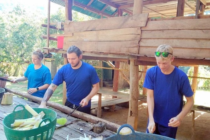 Top Pick - Full or Half Day @Elephant in Wild Sanctuary ChiangMai - Guides: The Difference Between a Good Day and a Great Day