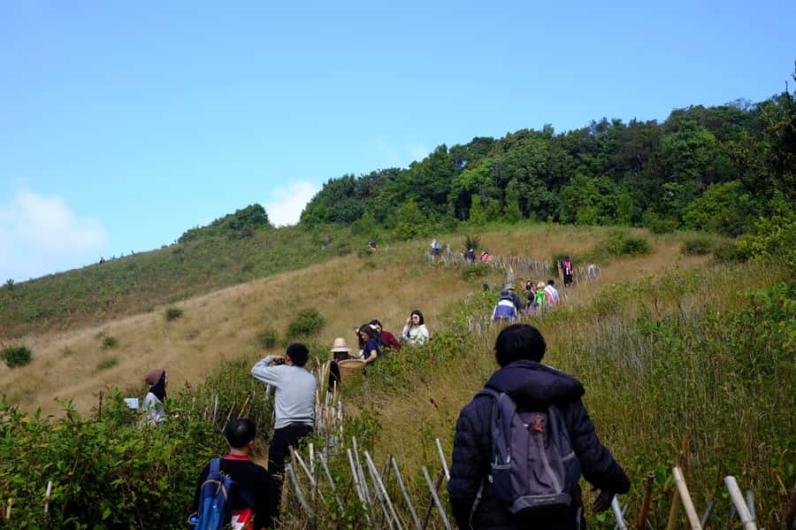 Tour with Hike in Kiew Mae Pan Natural Trail from Chiang Mai - Kiew Mae Pan in Inthanon: The Why This Day Trips Well