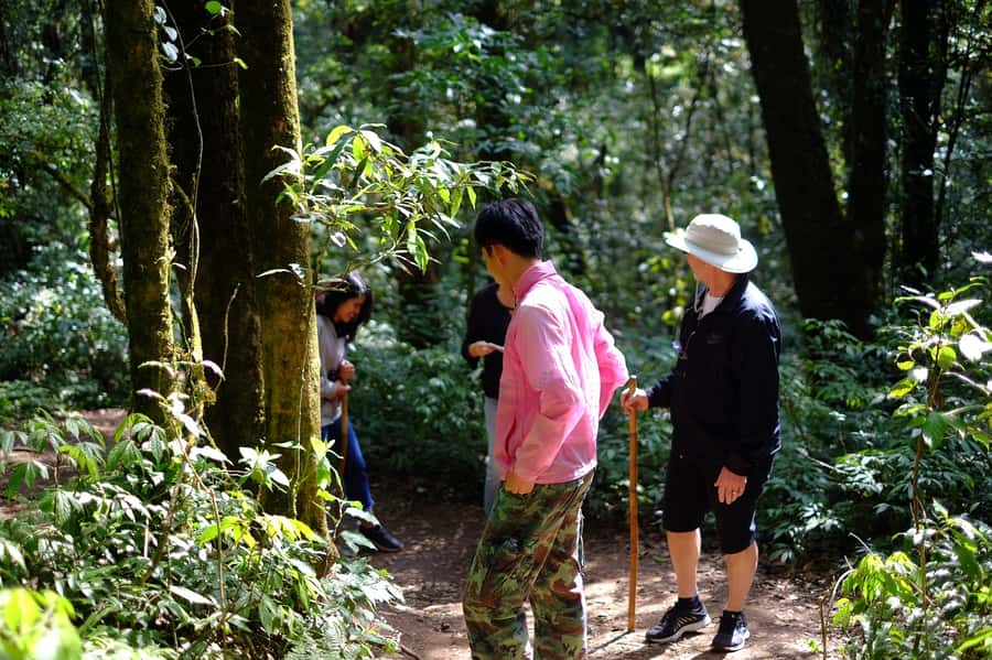 Tour with Hike in Kiew Mae Pan Natural Trail from Chiang Mai - Price and Value: Why $112 Can Make Sense