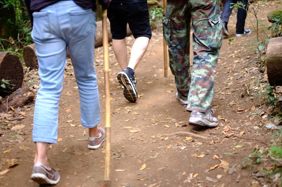 Tour with Hike in Kiew Mae Pan Natural Trail from Chiang Mai - Kiew Mae Pan Eco Walk: Rhododendrons, Streams, and That Cliff View