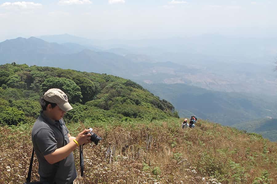 Tour with Hike in Kiew Mae Pan Natural Trail from Chiang Mai - Royal Project Lunch: Real Food, Not Just a Sandwich