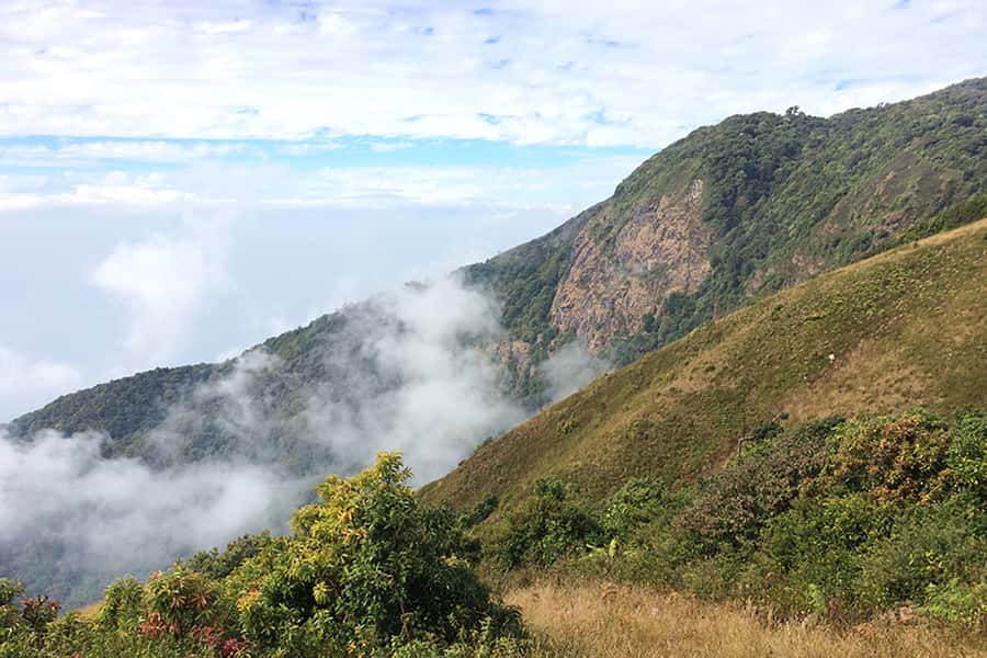 Tour with Hike in Kiew Mae Pan Natural Trail from Chiang Mai - Mae Klang Luang and Fresh Coffee From the Plantation