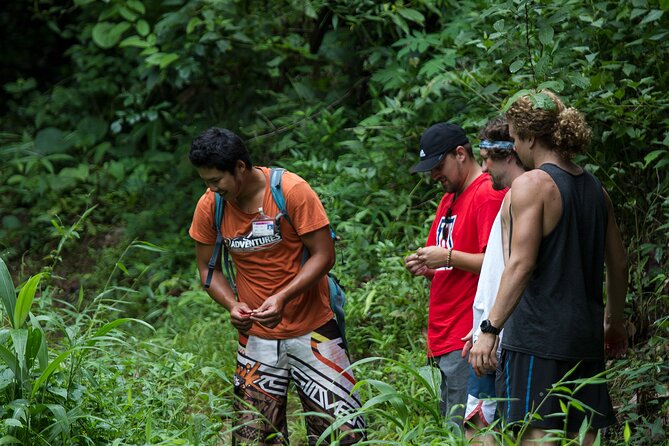 Trek to a Jungle Waterfall - The jungle trek: 1.6 km of real Chiang Mai nature
