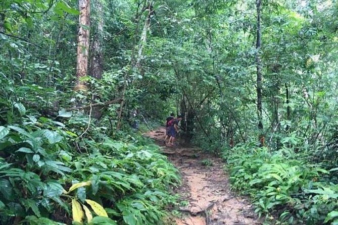 Trekking at the Monk Trail and Doi Suthep Temple Private Tour - Private Day from Chiang Mai: 8:30 AM Pickup and a Well-Timed 8 Hours