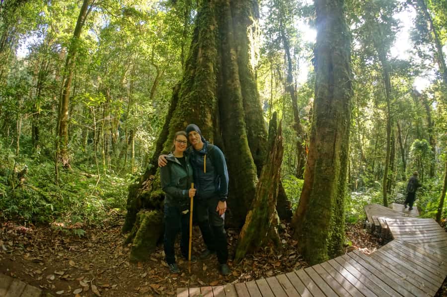 Two days Doi Inthanon national park - Day 1 itinerary: market stop, organic coffee, and the waterfall hike