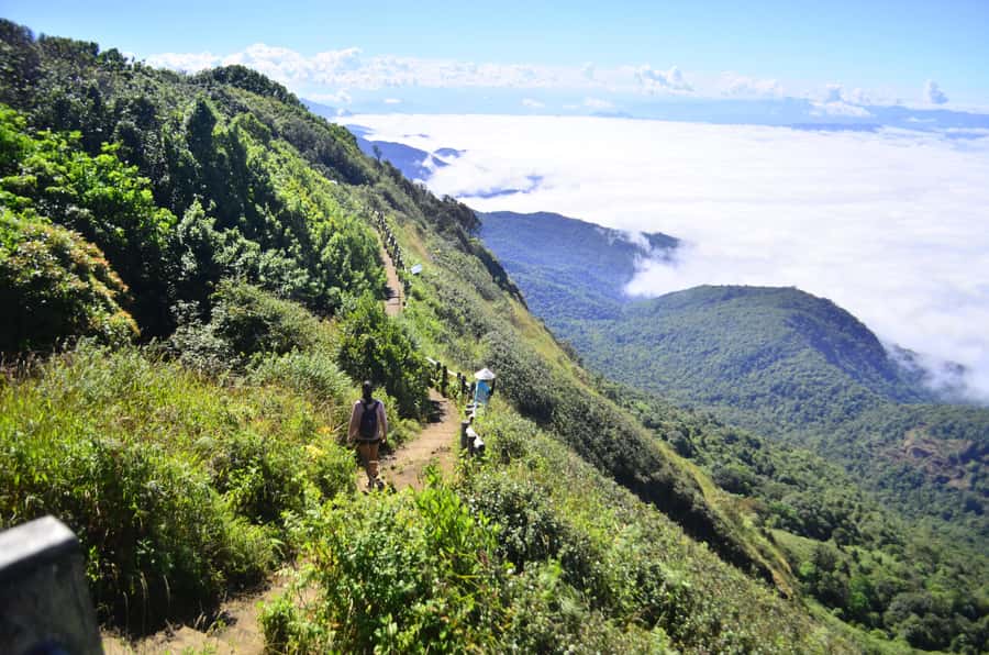 Two days Doi Inthanon national park - Day 2: 5:50 wake-up, sunrise timing, and the Kew Mae Pan hike