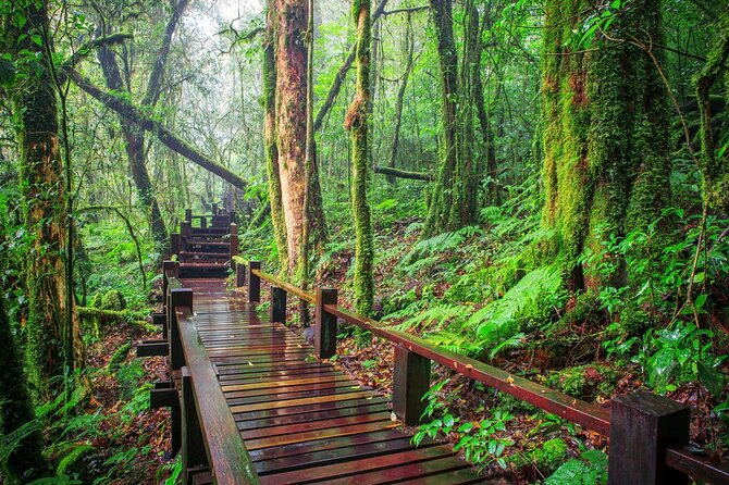 Unforgettable Doi Inthanon Trek: Kew Mae Pan/Pha Dok Seiw - The Royal Agricultural Station Gardens: More Than a Quick Photo Stop