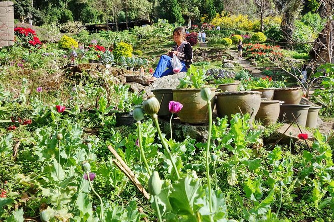 Wat Doi Suthep Tour from Chiang Mai with Hmong Hill-tribe Village (SHA Plus) - Wat Doi Suthep: The Naga Staircase and 360-Degree Chiang Mai