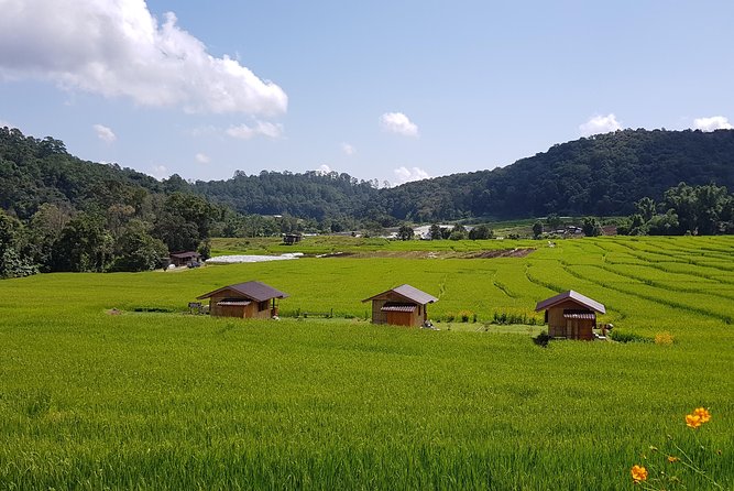 Wow! Doi Inthanon National Park Adventure, Lunch & Entry Included - Thai Hmong community market stop for snacks and small buys