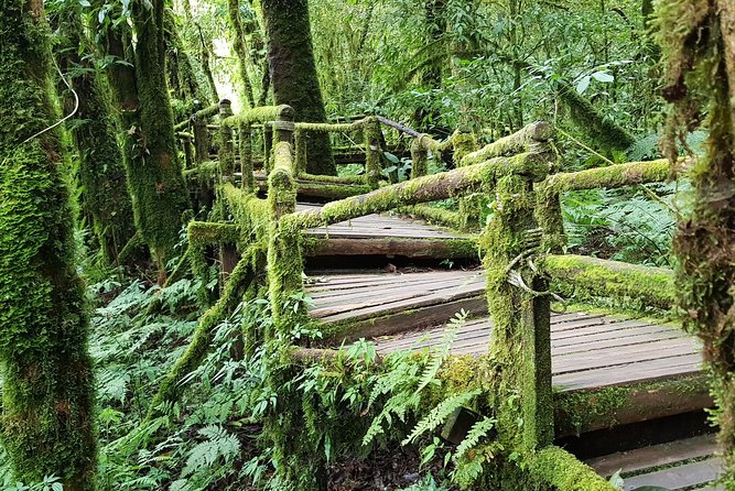 Wow! Doi Inthanon National Park Adventure, Lunch & Entry Included - Karen hill-tribe village at Ban Mae Klang Luang